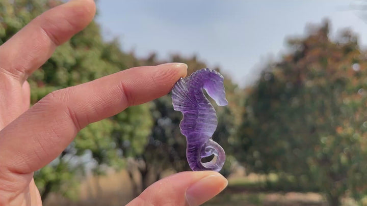Natural Crystal Carved Mini Seahorse
