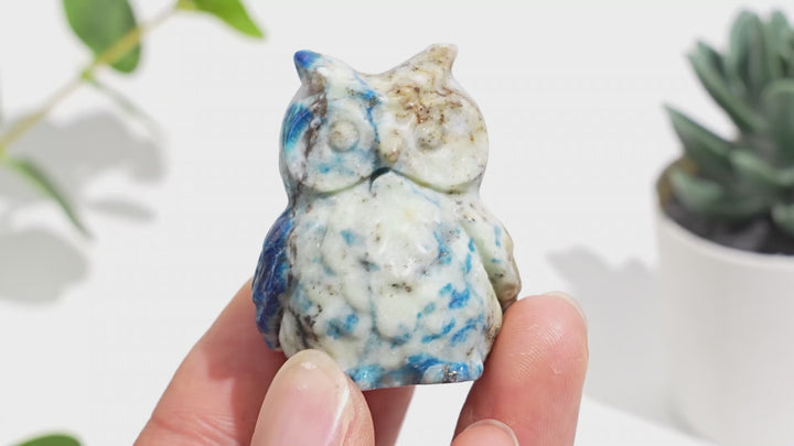 Natural Green And Blue Sodalite With Pyrite Owl