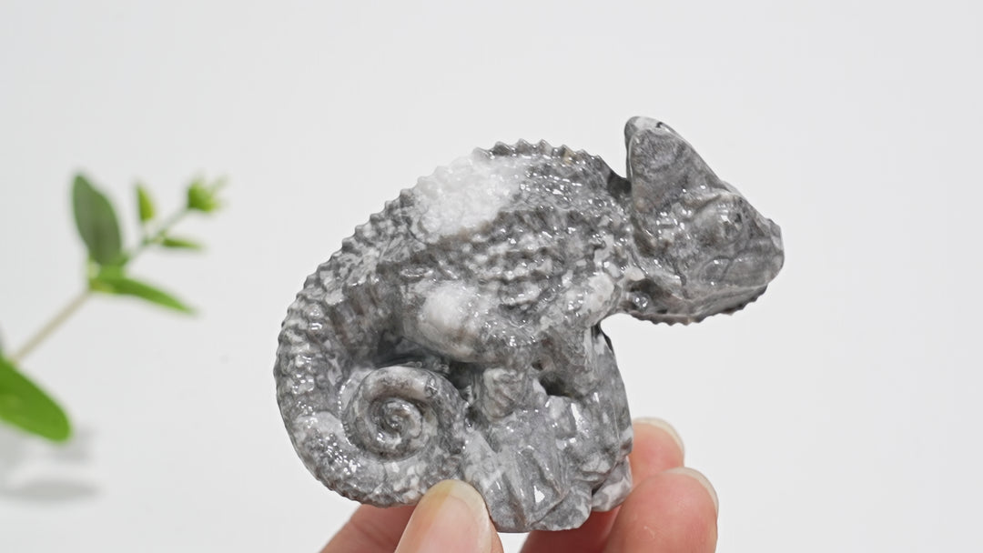 Natural Crystal Carving Chameleon On Tree Stump
