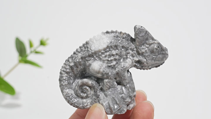 Natural Crystal Carving Chameleon On Tree Stump