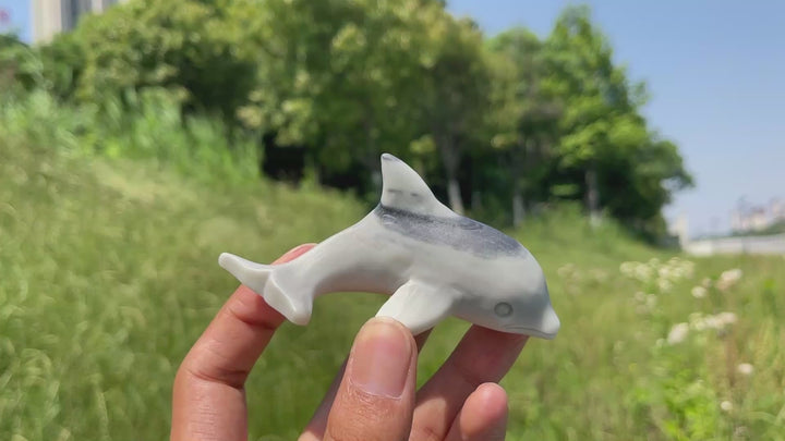 Natural TaiJi Stone Dolphin Carving