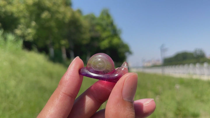 Natural Crystal Lovely Fluorite Snail Carving