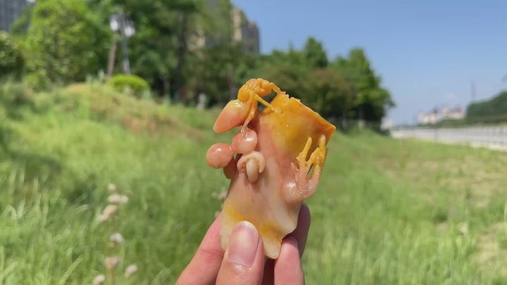 Unique,Natural Larderite Crystal Cicada Carving