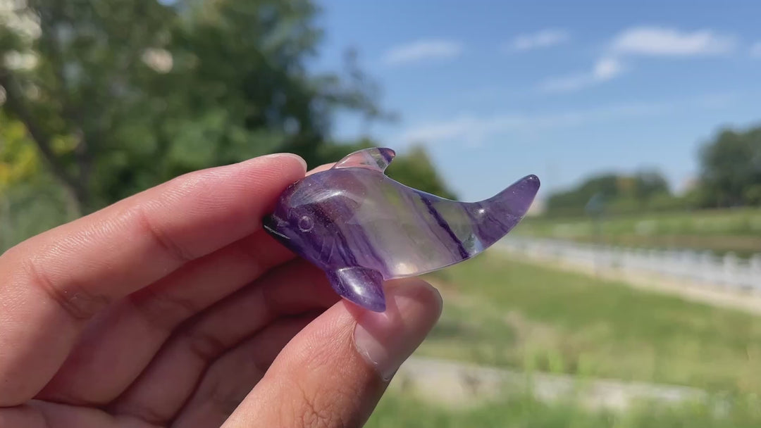 Natural Crystal Playful Dolphin Carving