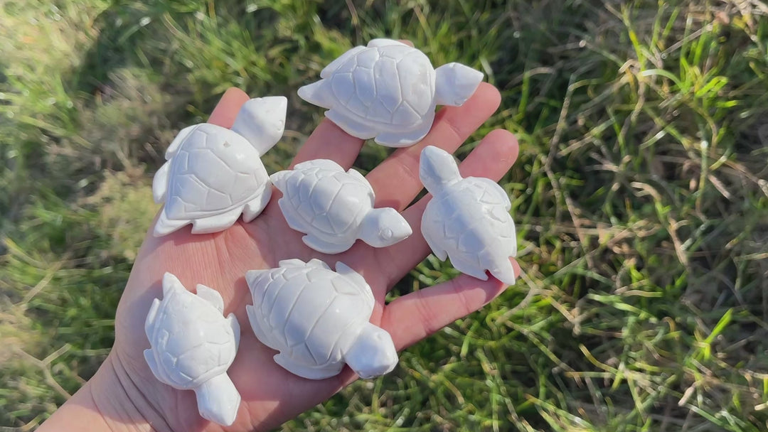 Natural Crystal Carving White Agate Turtle