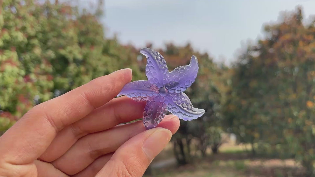 Natural Crystal Fluorite Carved Starfish