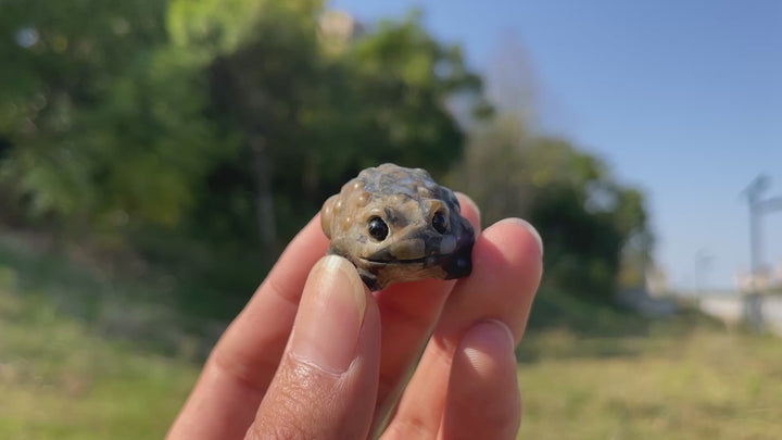 Natural Crystal Cute Mixed Material Toad