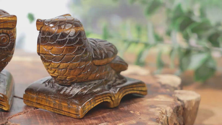 Natural Tiger Eye Reading Owl