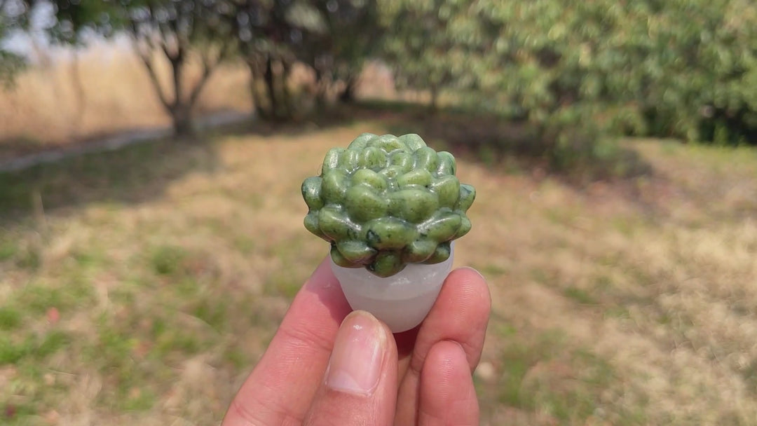 Natural Crystal Green Succulent Potted Plant
