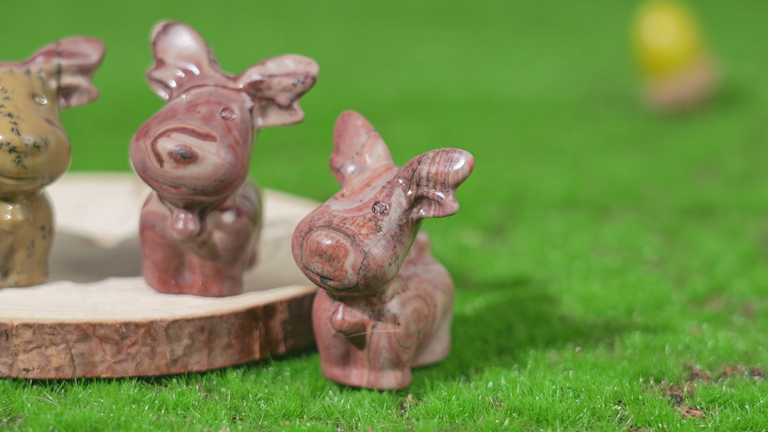 Natural Picture Jasper Deer