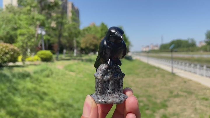 Natural Black Obsidian Raven & Tombstone Carving