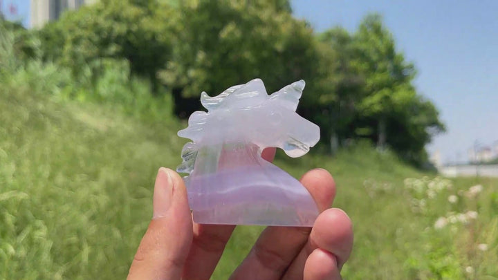 Natural Fluorite Unicorn Head Carving
