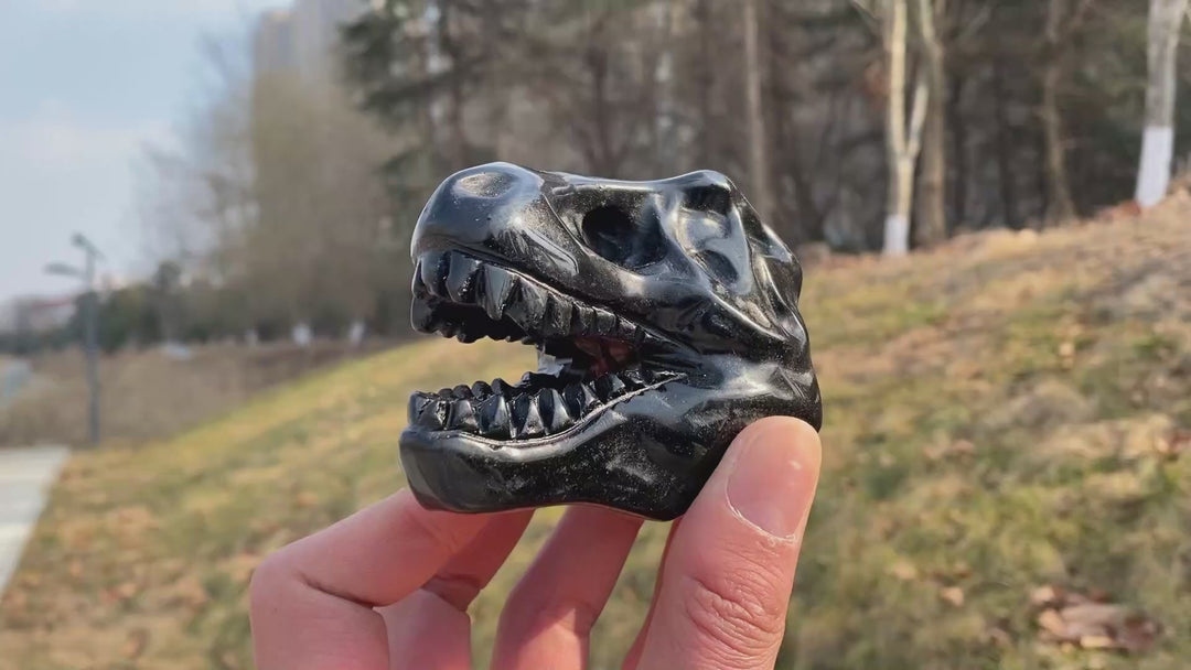 Natural Carved Obsidian Tyrannosaurus Rex Skull