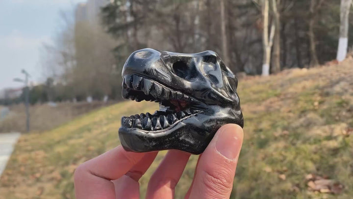 Natural Carved Obsidian Tyrannosaurus Rex Skull