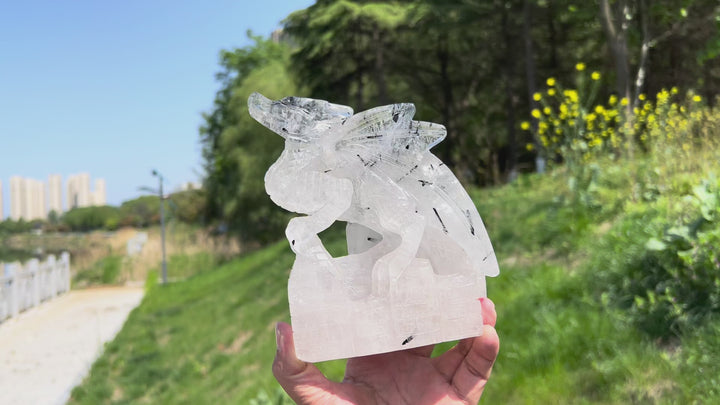 Unique,Natural Quartz Tourmaline Dragon Carving