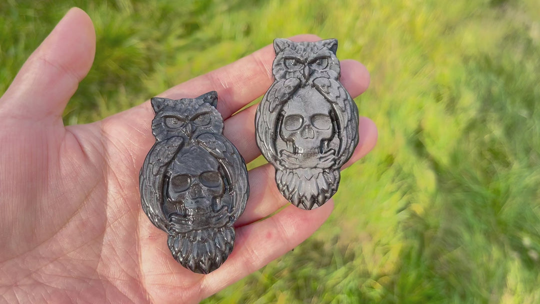 Natural Silver Obsidian Owl With Skull