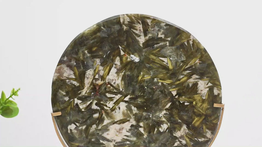 Unique,Natural Phlogopite Crystal Disc With Stand