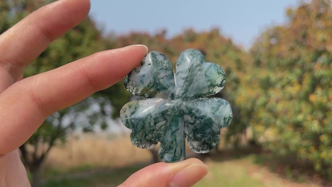 Moss Agate Four Leaves Clover