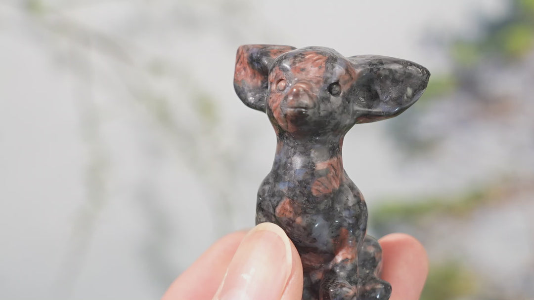 Natural Carving Red Que Sera Chihuahua