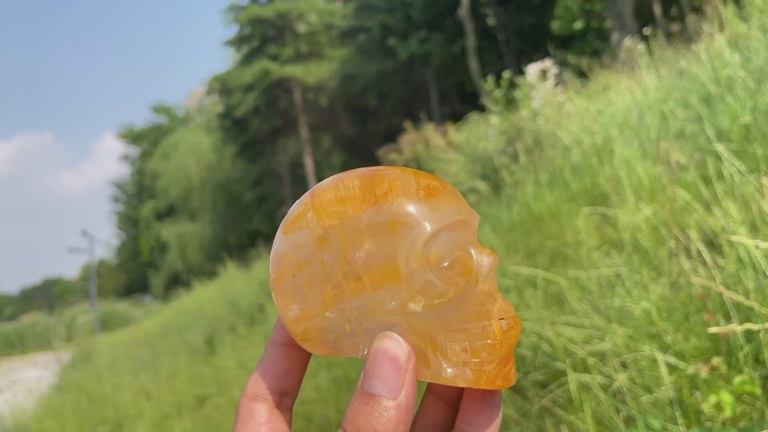 Unique,A Slightly Imperfect Natural Warm Golden Healer Skull Carving
