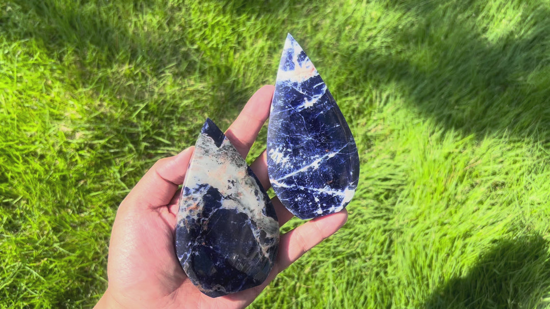 Sodalite Teardrop