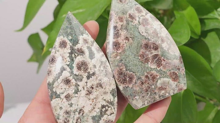 Natural Green Sakura Stone Teardrop