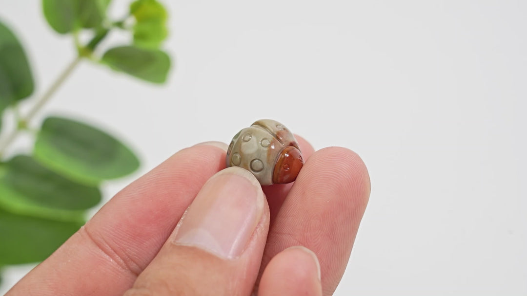 Natural Crystal Carving Alashan Agate Ladybug