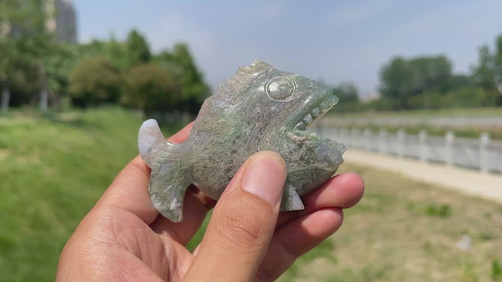 Natural Crystal Piranha Carving