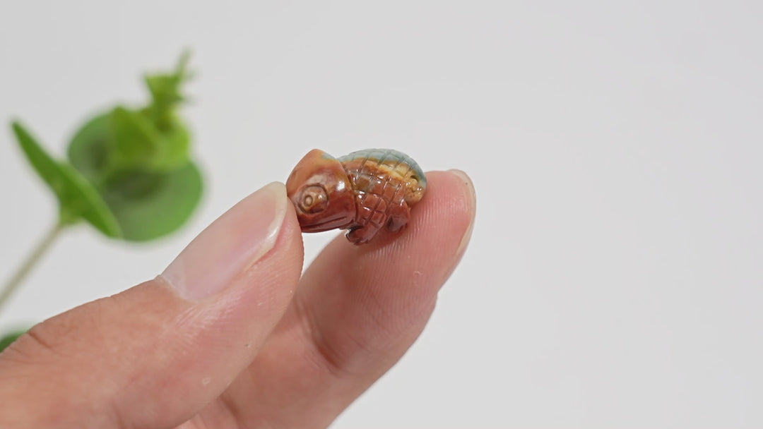 Natural Crystal Alashan Agate Chameleon Carving