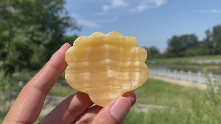 Natural Crystal Yellow Calcite Shell Bowl