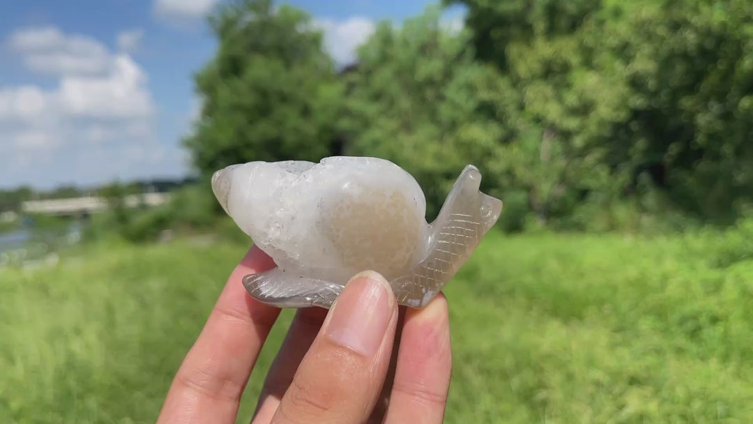 A Slightly Imperfect Natural Crystal Agate Geode Snail Carving
