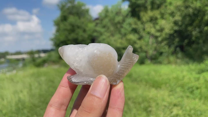 A Slightly Imperfect Natural Crystal Agate Geode Snail Carving