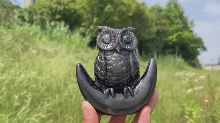 Unique,Natural Silver Obsidian Moon Owl Carving