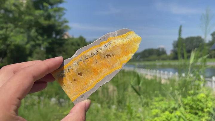 Natural Irregular Bumblebee Jasper Crystal Slice