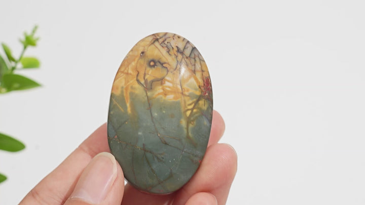 Natural Crystal Norina Jasper Palm Stone