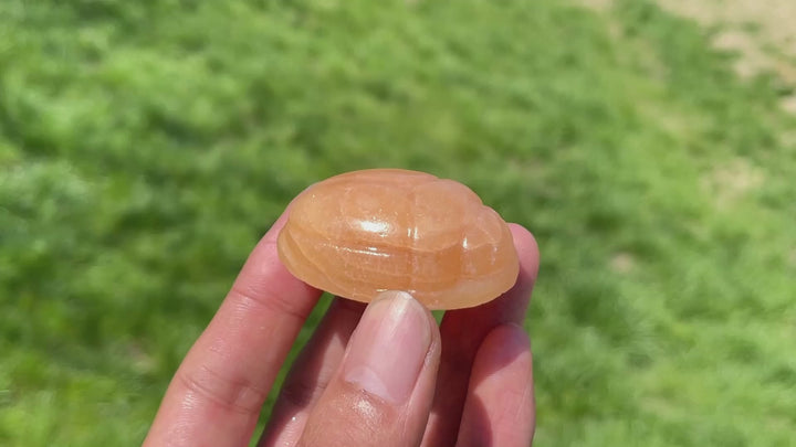 Natural Crystal Scarab Carving