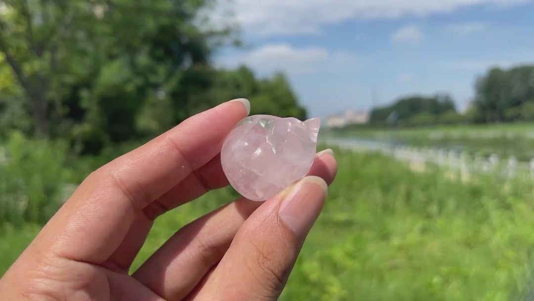 Natural Crystal Rose Quartz Sleeping Cat Carving