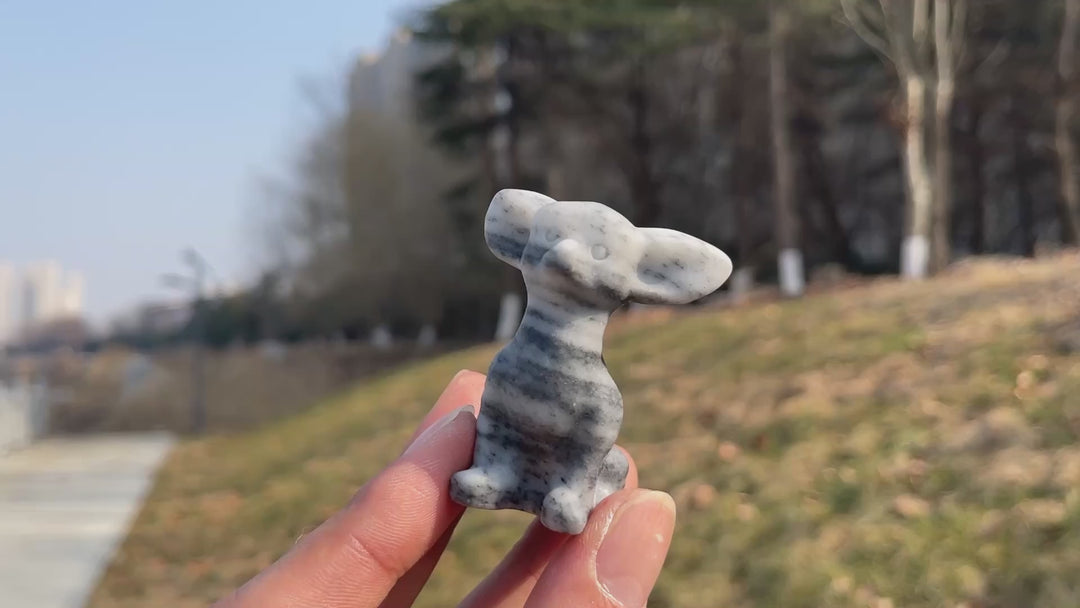 Natural Carving TaiJi Stone Chihuahua
