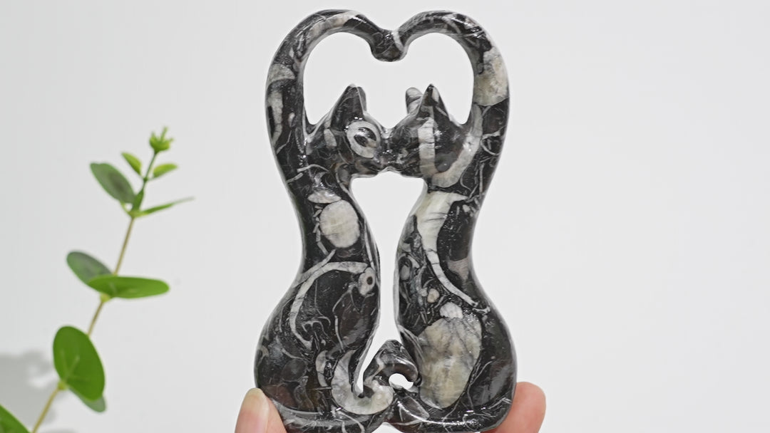 Natural Crystal Carving Shell Fossil Loving Couple Cats