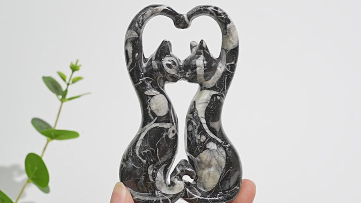 Natural Crystal Carving Shell Fossil Loving Couple Cats