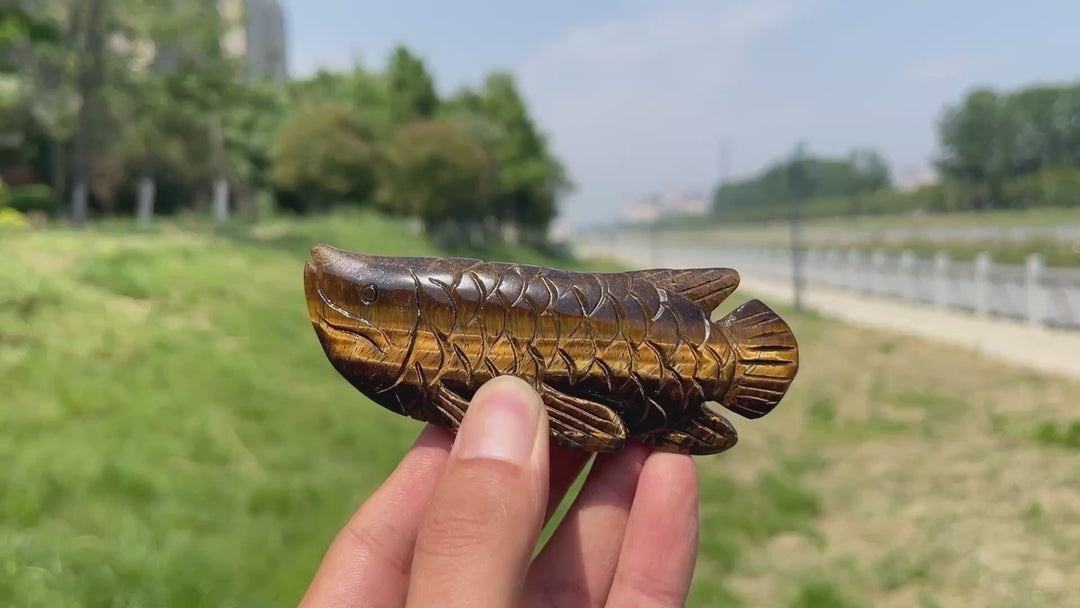 Natural Tiger Eye Arowana Carving