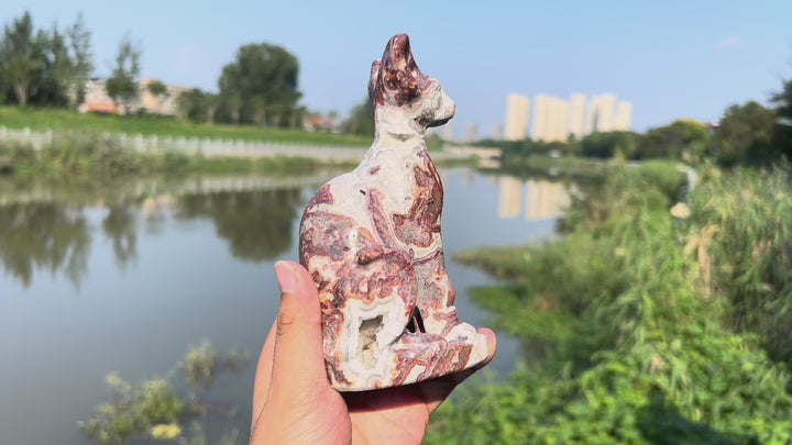 Mexican Agate Sphynx Cat