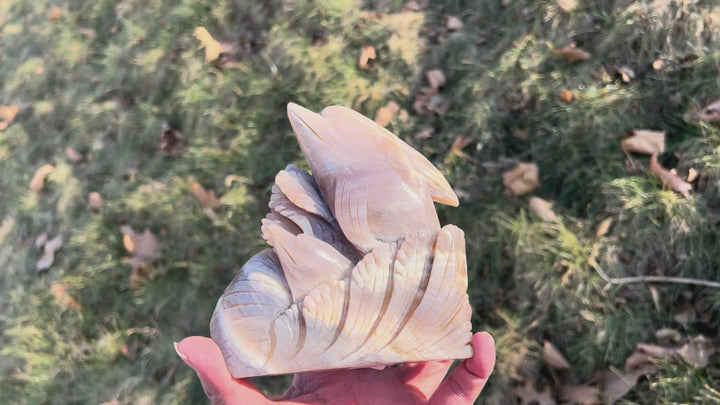 Unique Natural Carving Sunstone-Moonstone Dolphin