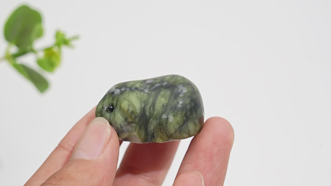 Natural Crystal Carving Shake Guinea Pig
