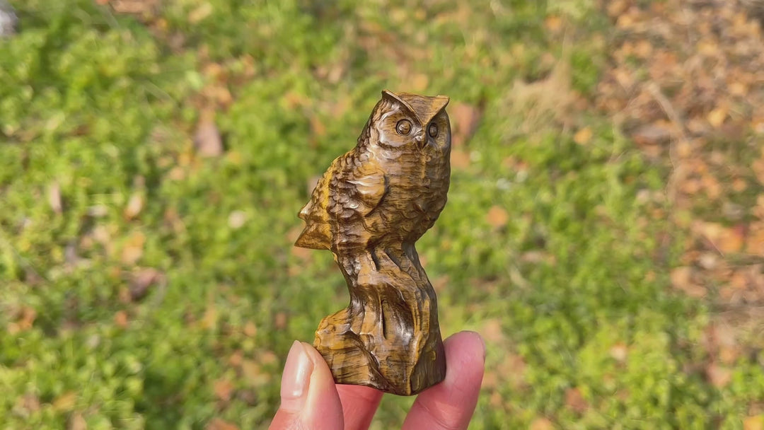 Natural Crystal Carving Owl On Tree Stump