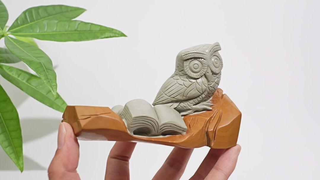 Unique,A Slightly Imperfect Natural Crystal Calcite Owl With Book Carving