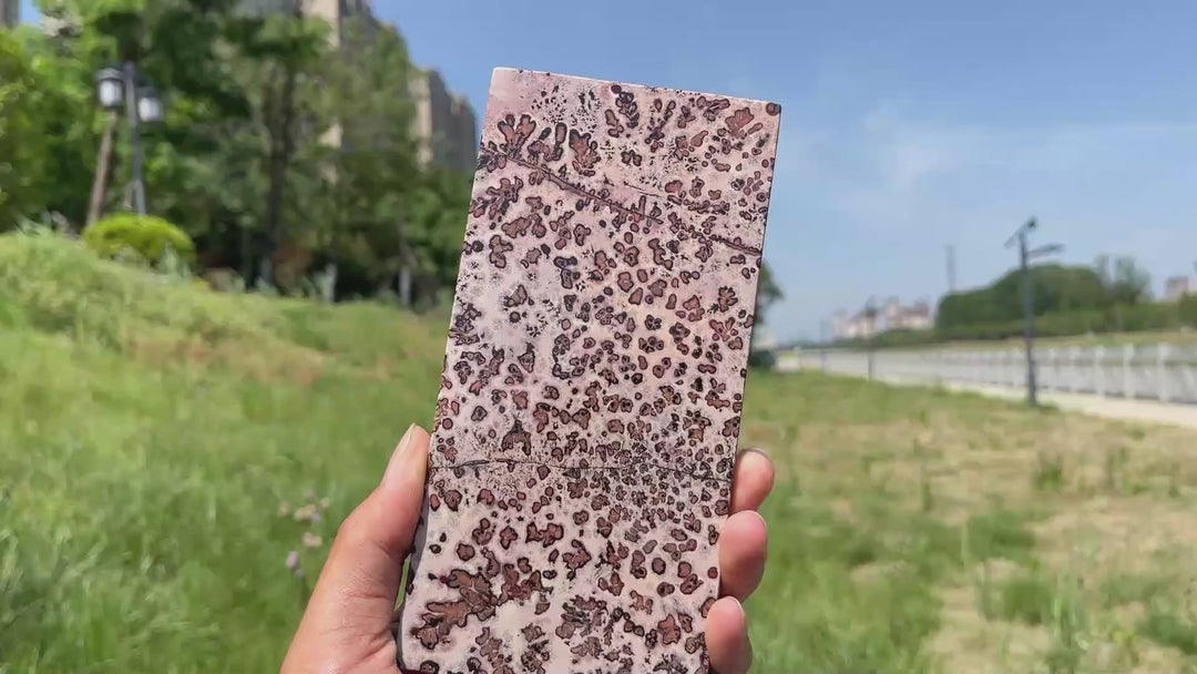 Natural Artistic Picture Jasper Slice