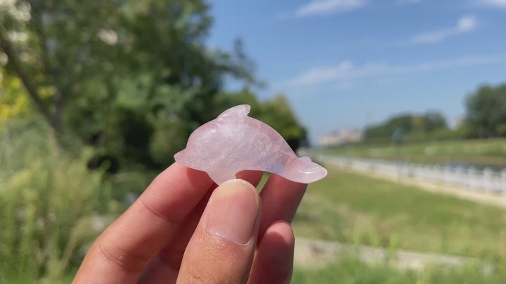 Natural Crystal Playful Dolphin Carving