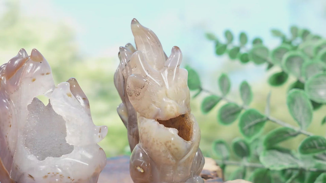 Unique,Natural Agate Geode Nine-Tailed Fox