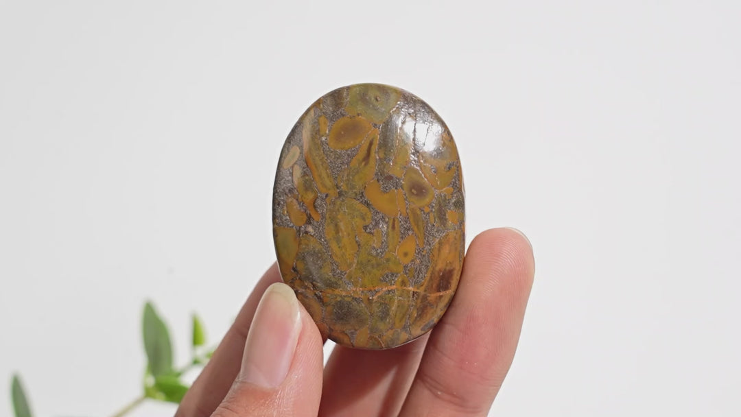 Natural Crystal Bamboo Leaf Stone Palmstone